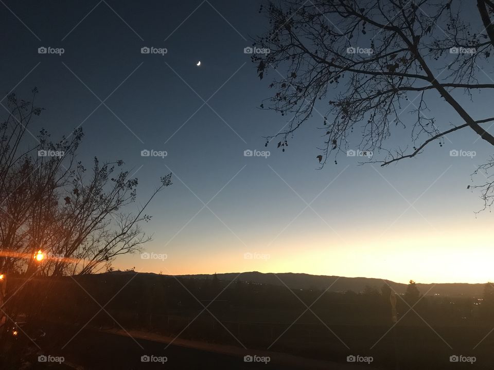 Bright planets in evening sky 