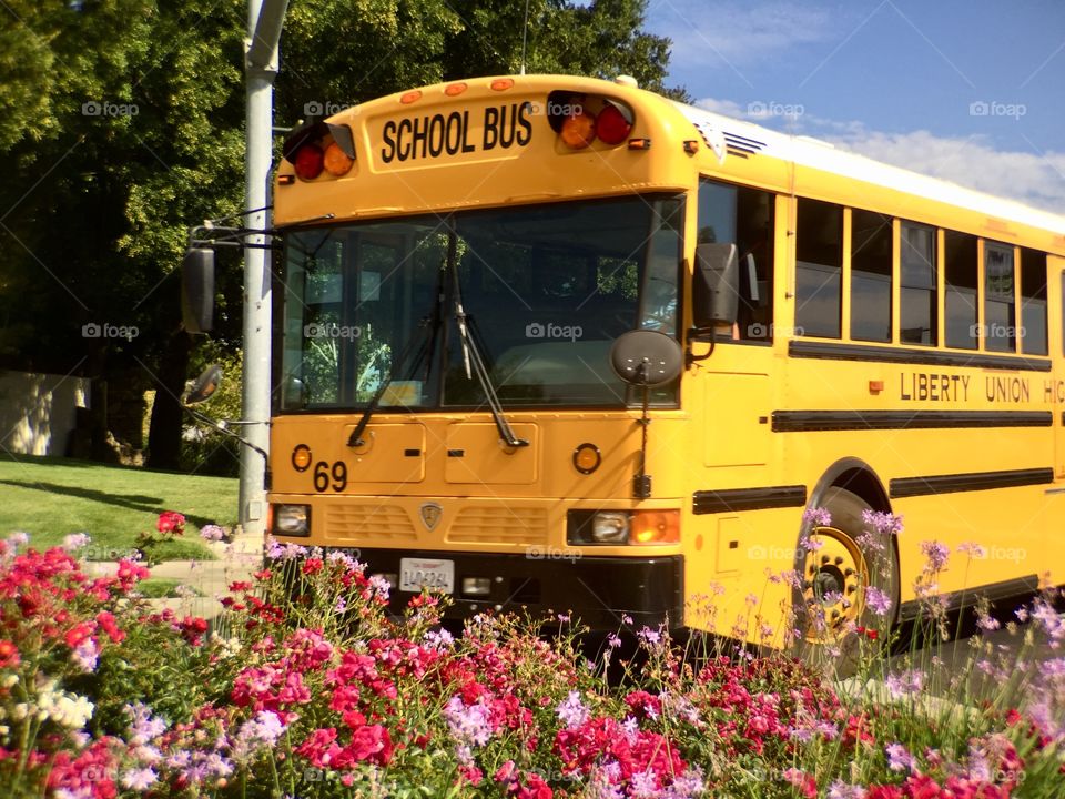 School bus and flowers 