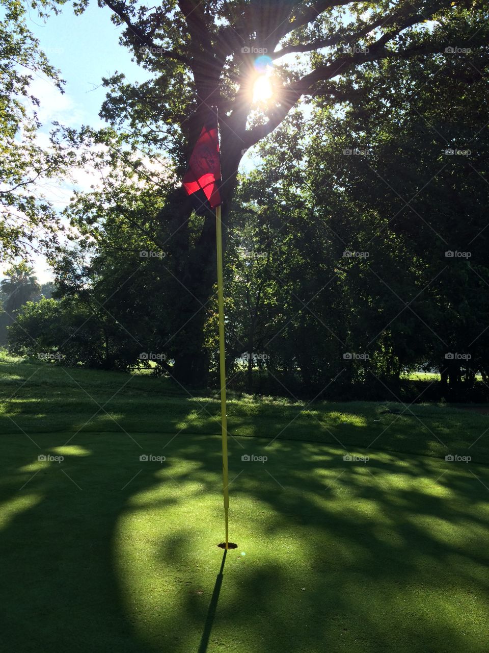 Sunlight on a golf course