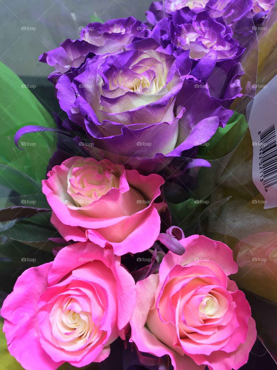 Multicolored roses.