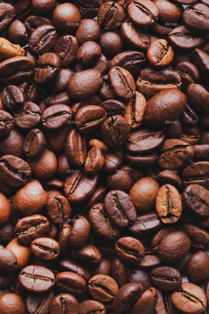 Coffee beans background. Close up