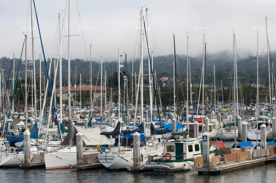 Sail boat marina