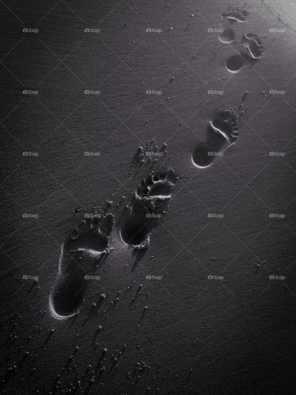 Footprints in the sand