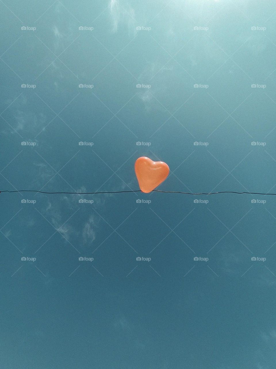 heart