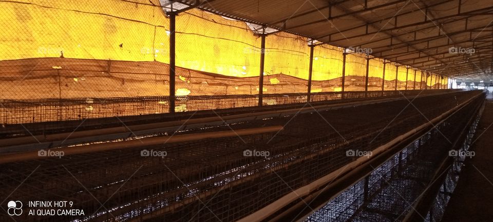 layer farm inner view