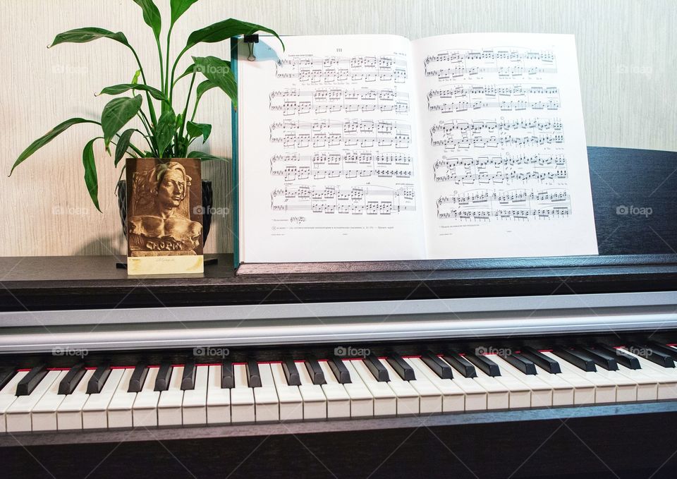 sheetmusic and the flower on the piano