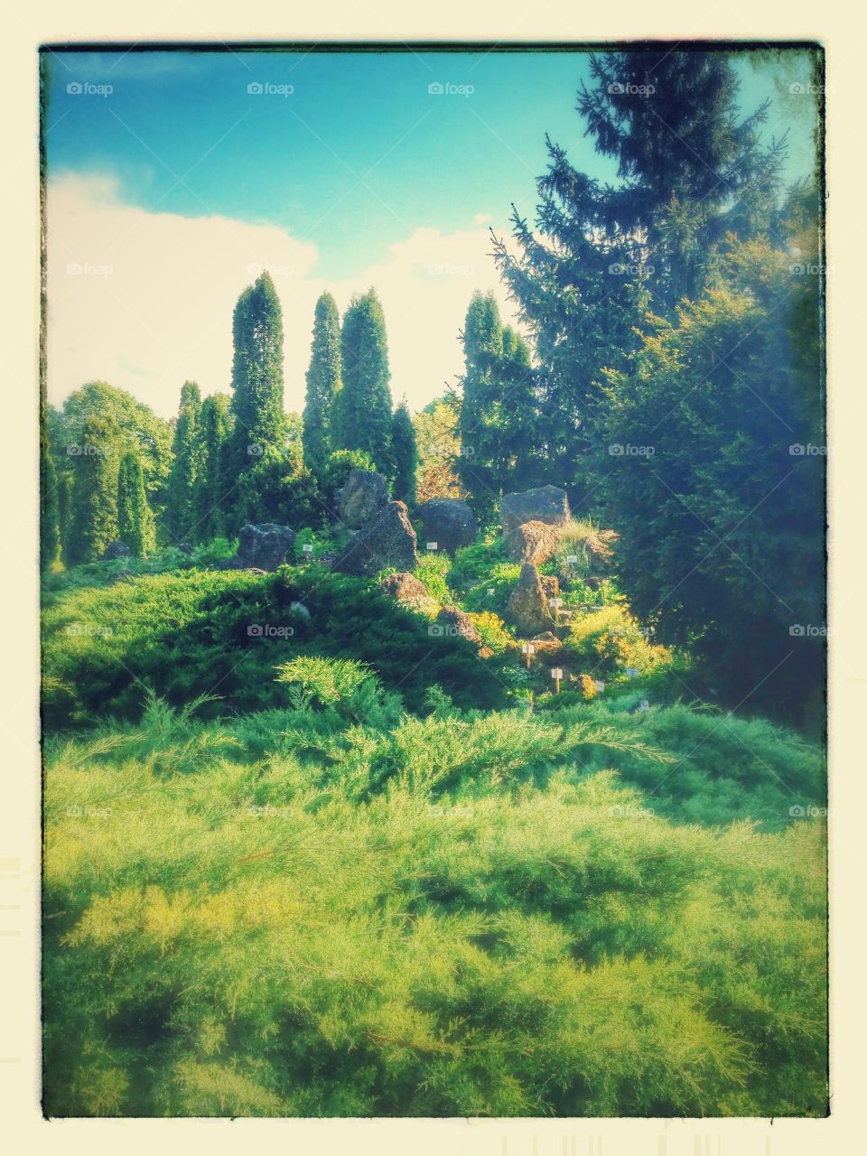 beautiful landscape with tall trees and stone decorations