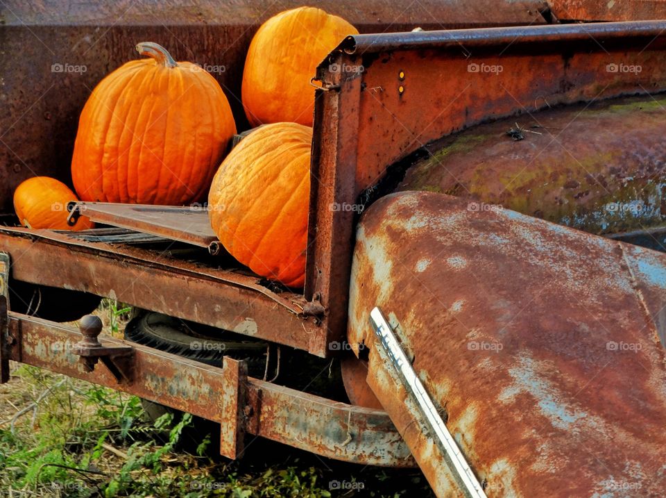 Old Rusty Truck Hauling Pumpkins