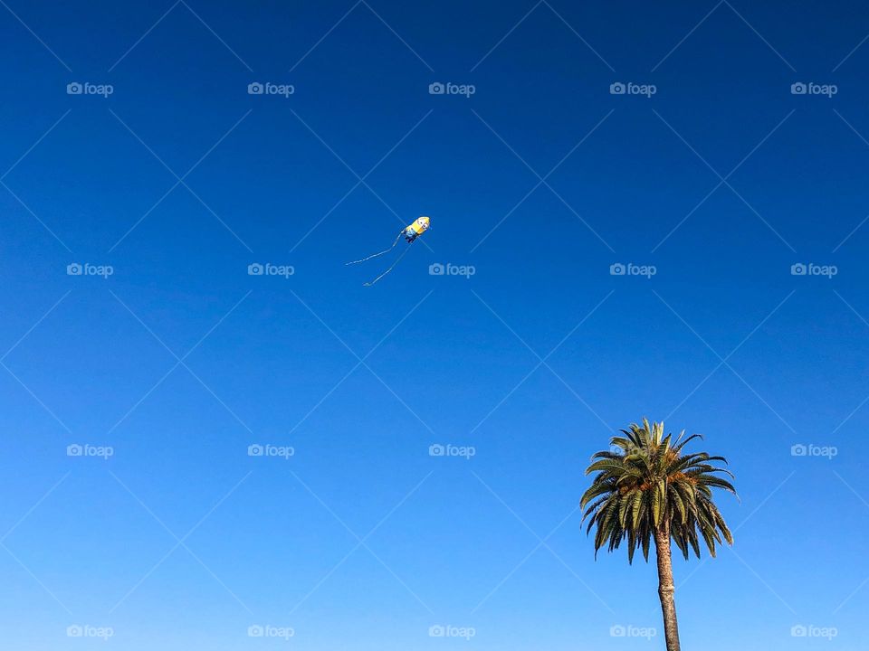 Minion kite against a super crazy blue San Diego sky, no filter needed
