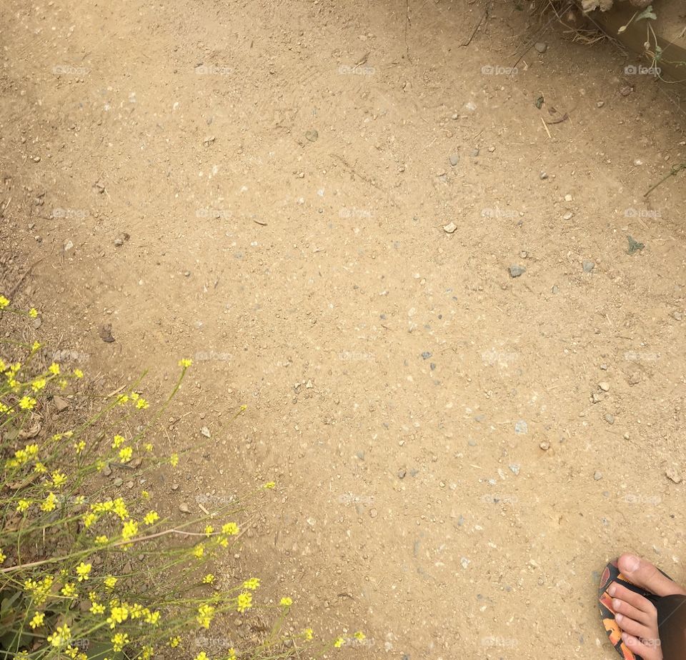 Walking on a Trail
