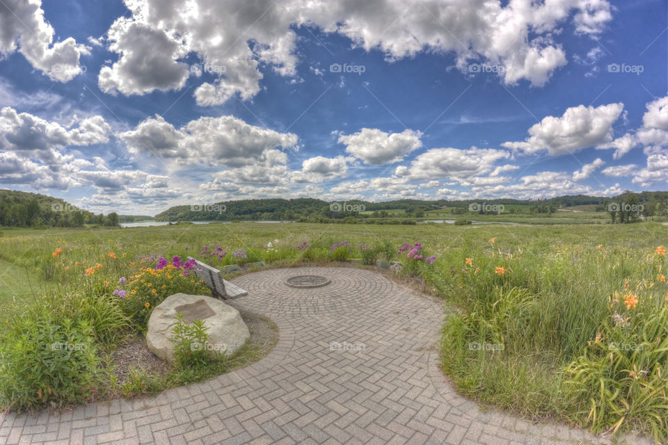 Indian Lake - Field of Summer