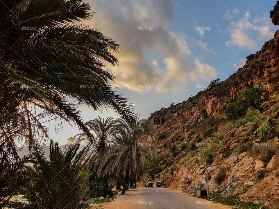 nature sidi boulfdail agadir morocco golden hour