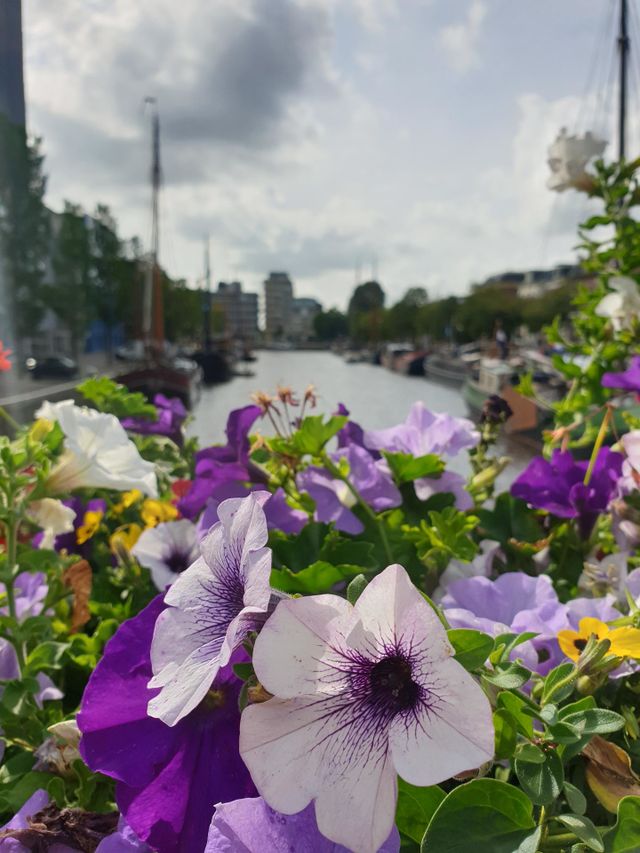 flowers by the river