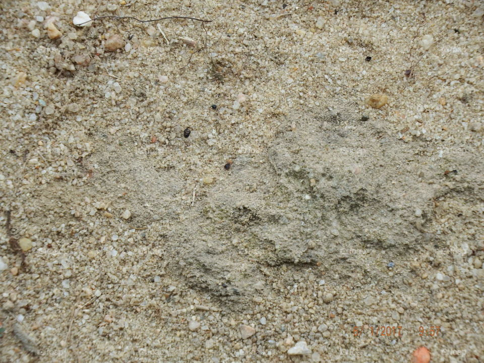 Creative textures -- sand