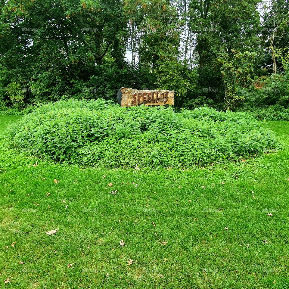 Play forest on the Krabbeplaat is a recreational area for swimming and playing. The Netherlands
