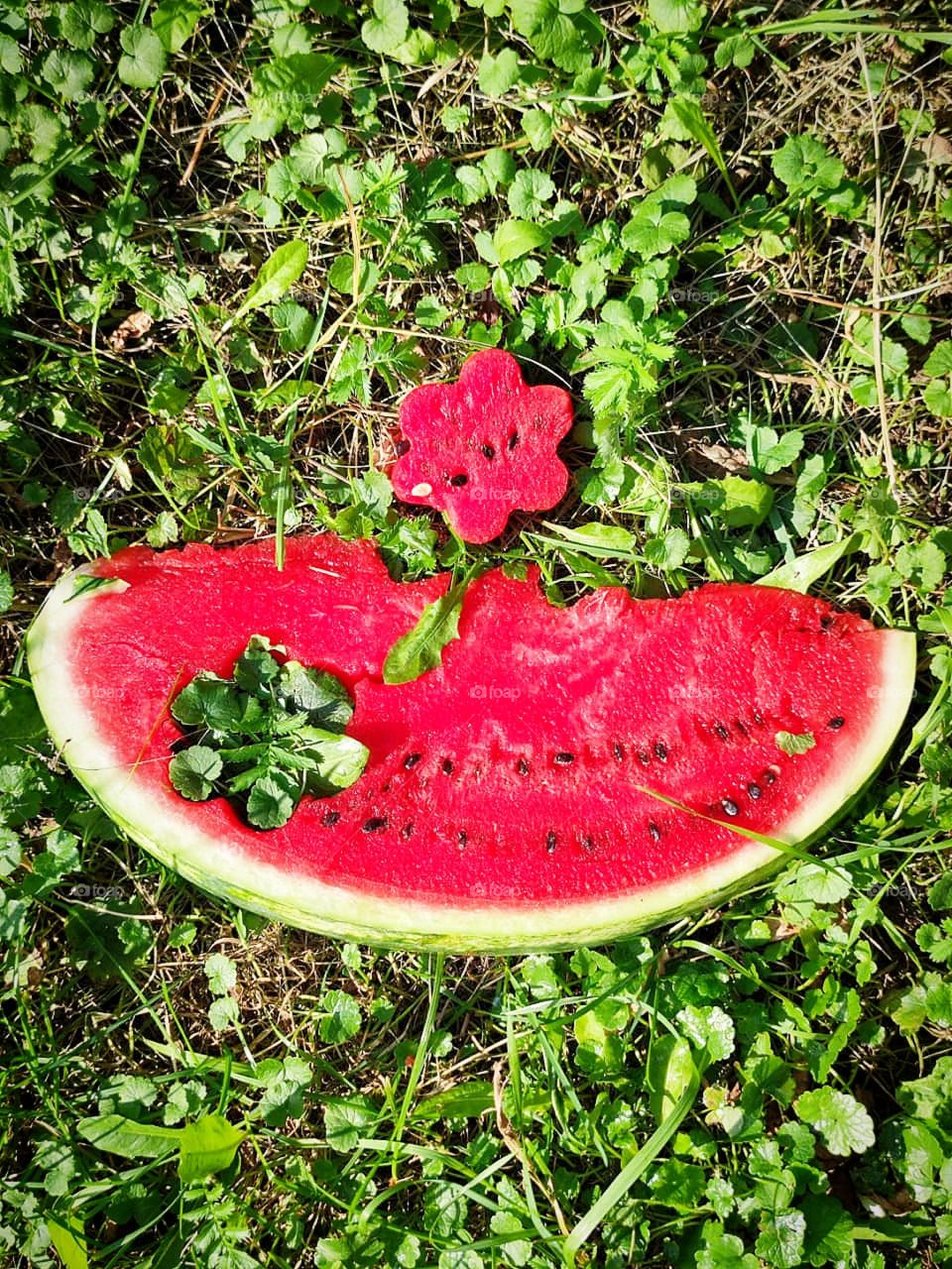 View from above.  A juicy red piece of watermelon with a flower carved in it.  Watermelon flower next to a piece of watermelon.  On the green grass