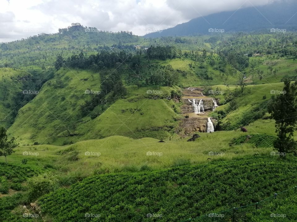 Blessed Nature with Shadow 🖤