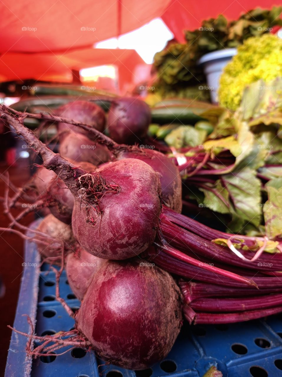 vegetables at the fair