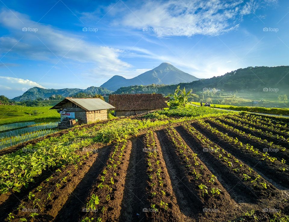 A breath of fresh air at the edge of the countryside