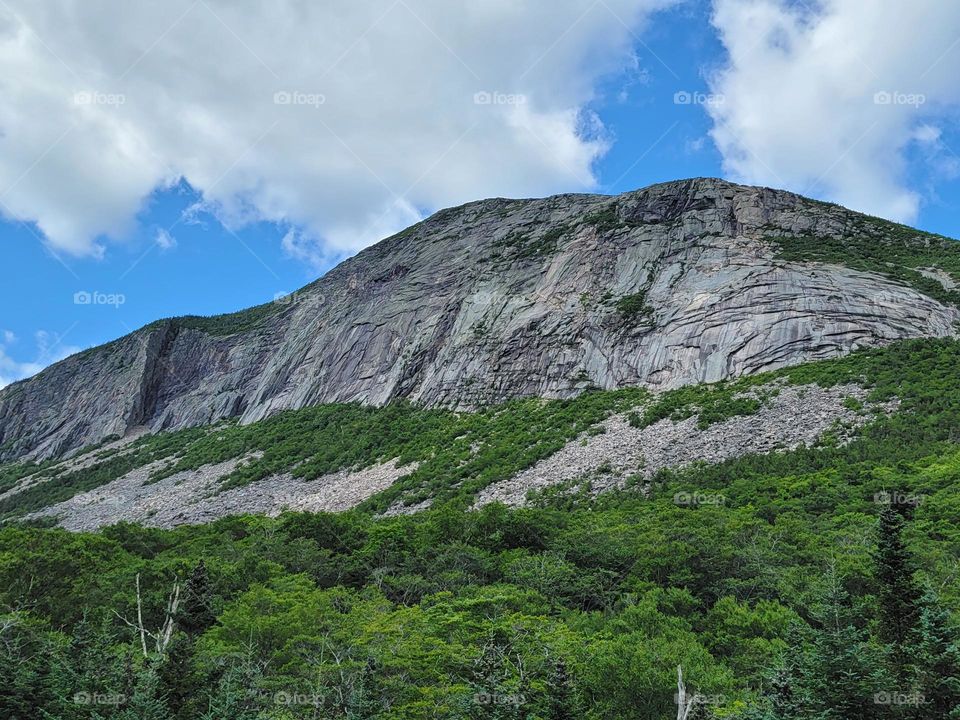 Mountain with Blue Fluffy Sky and Bright Green Trees