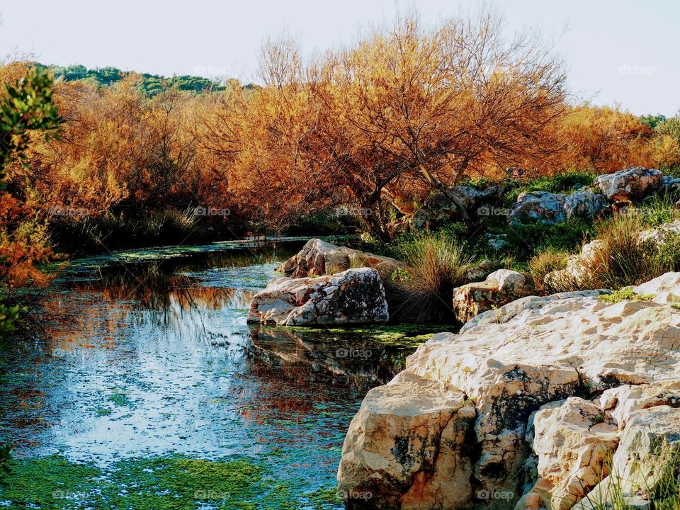 river.. trees.. stones.. nature