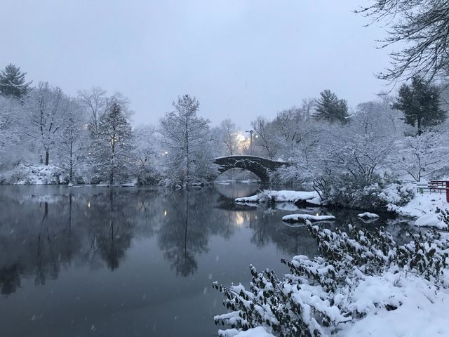 Snowy pond 