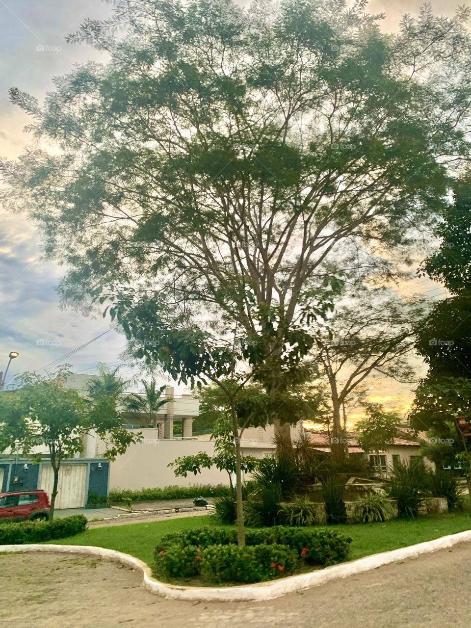 Através de um olhar 