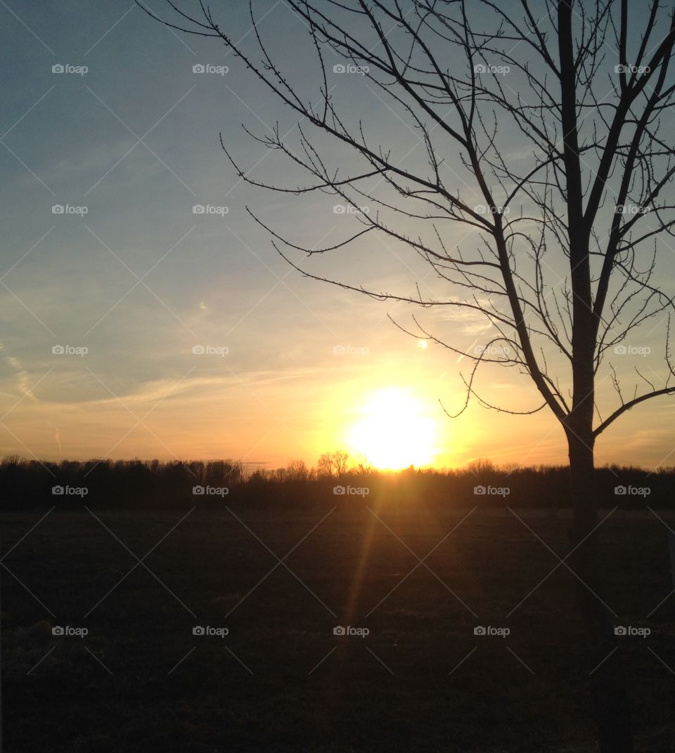 Wisconsin farm skyline. Crop field at night