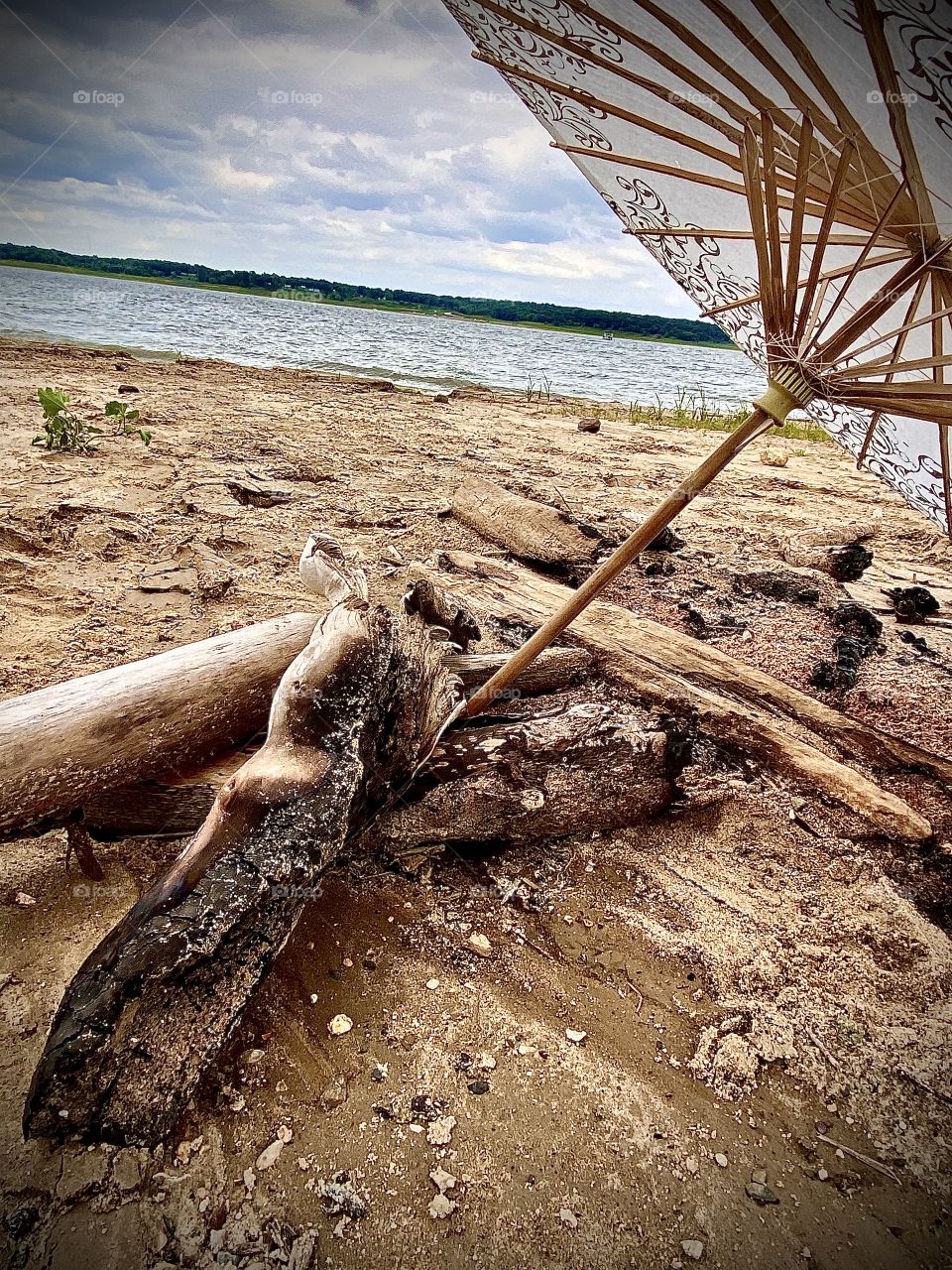 Watching water in the shade