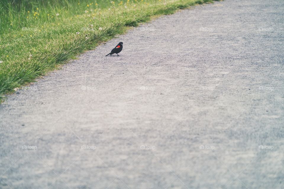 Not sure where I'm headed either friend