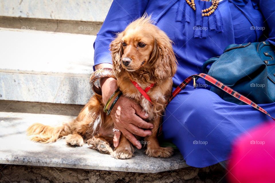 Lovely dog with her lady-owner