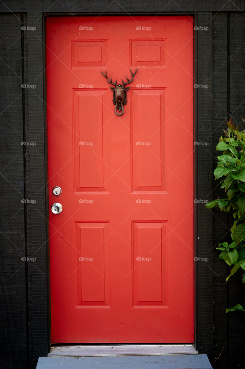 A red door with a deer head knocker on a dramatic dark wall, with a lush green fruit tree next to it.