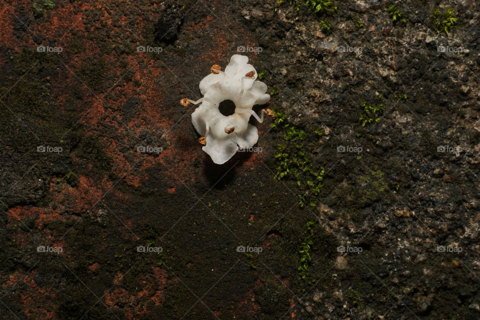 This is my first time