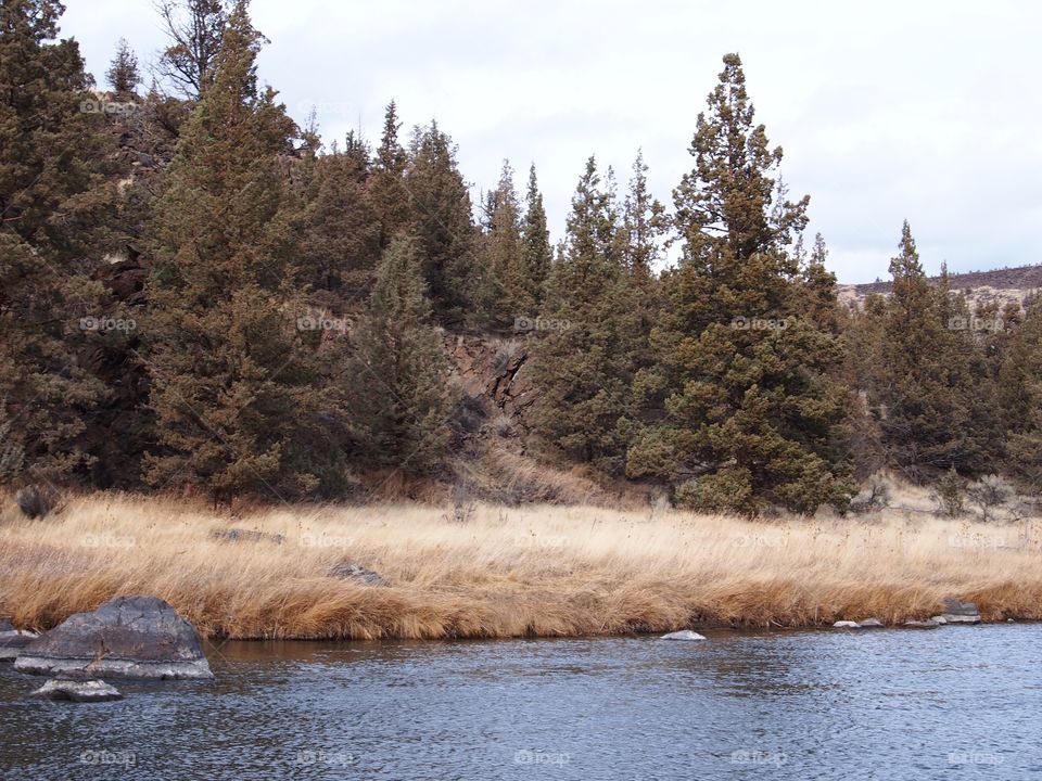 The flowing waters and the banks of the Crooked River through a canyon in Central Oregon. 