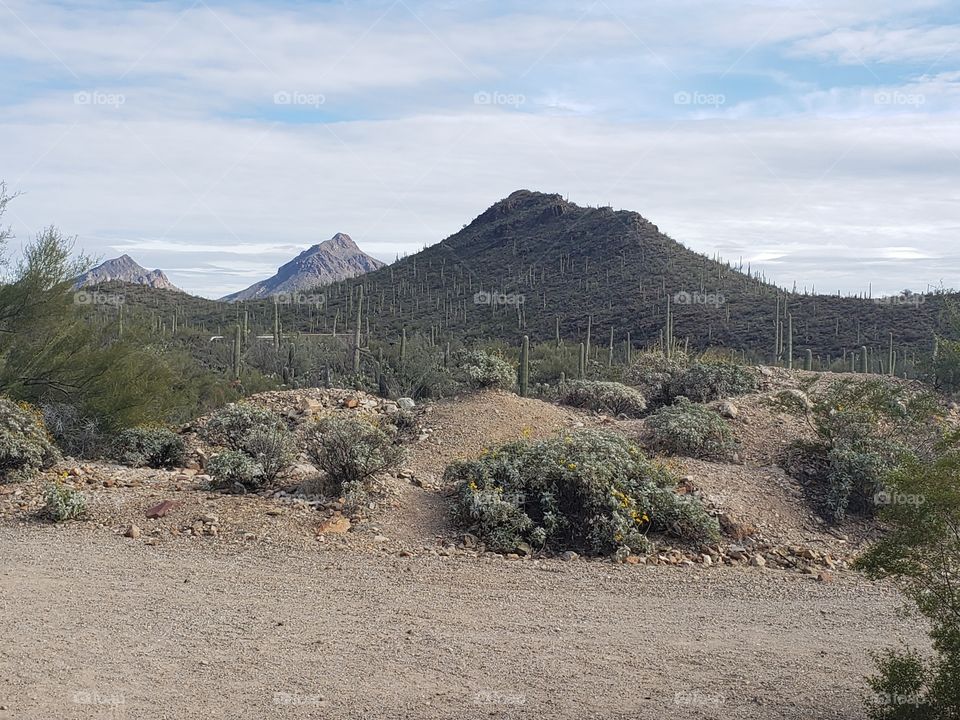 mountains in the distance