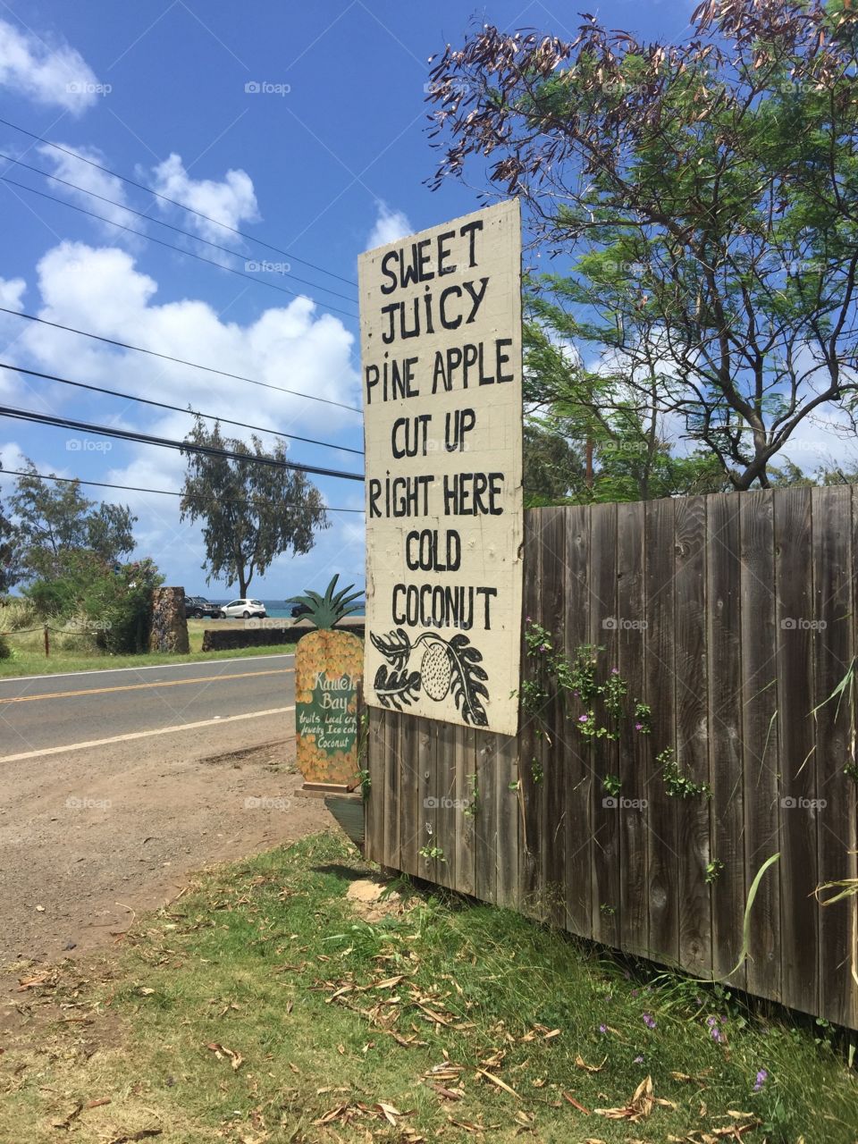 Side of the road refreshments / North Shore, Oahu