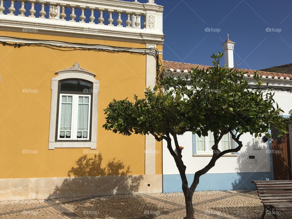 Houses from Portugal 