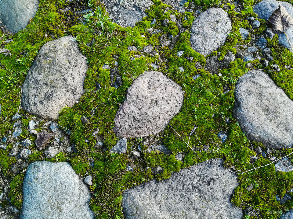 texture background of the moss and stones
