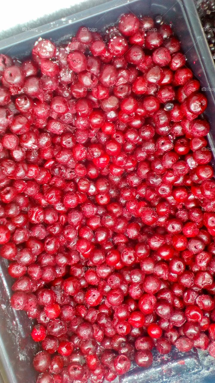 Frozen red berries