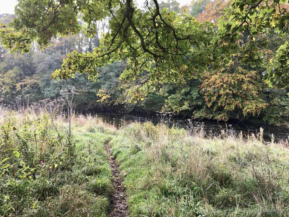 Riverbank Walk .. heading down to the river for an Autumn stroll