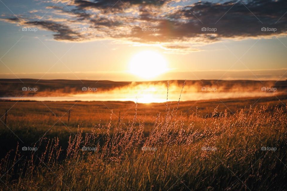 Misty morning sunrise over a lake. 