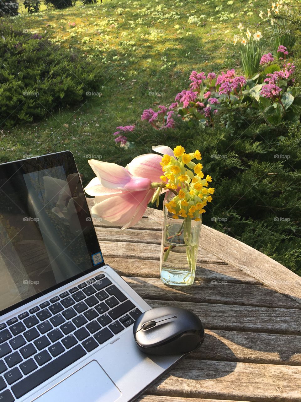 Work from the garden 