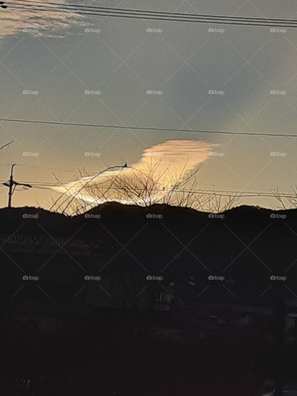 the clouds that shape like a little bird on the grass