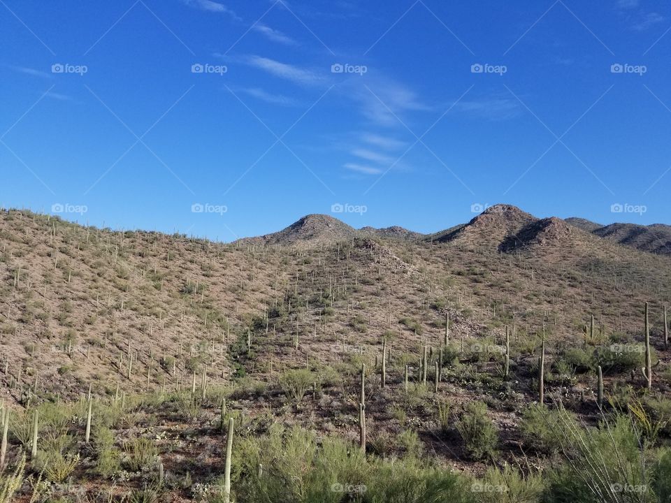 Tucson Mountains