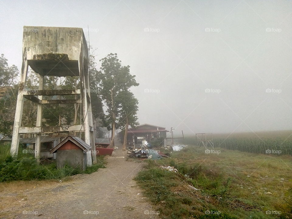 A view of a mossy old watertank and a little shed from a rural place university in the fog.