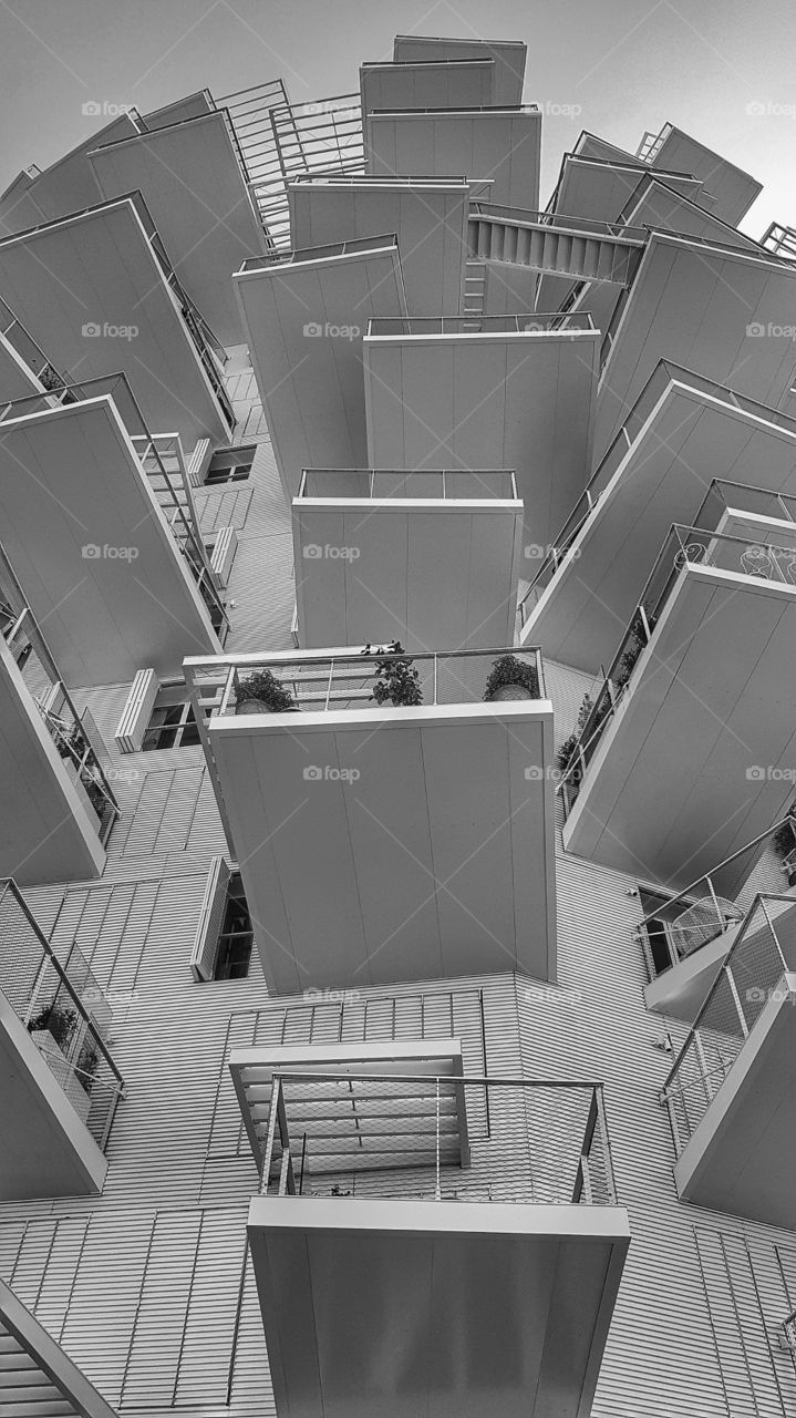 Montpellier  der  weiße Baum