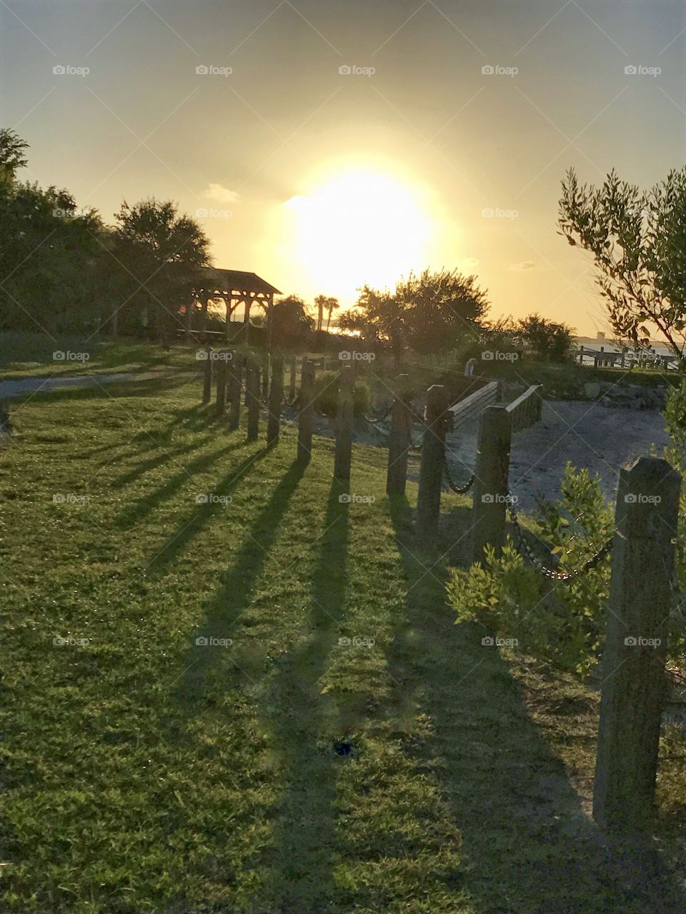 Sunset, Palms and Shadows