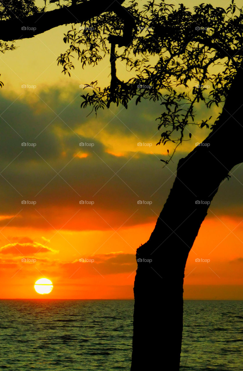 There is nothing as diverse as nature itself. It is a beautiful place; and it is everywhere. I am a haunter of nature who loves its beauty and solitude. Take a deep breath, relax, open your eyes, and enjoy the ride through my beautiful world of nature!