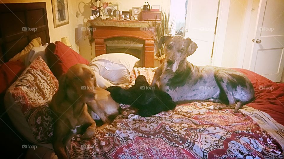 participating in their favorite hobby...