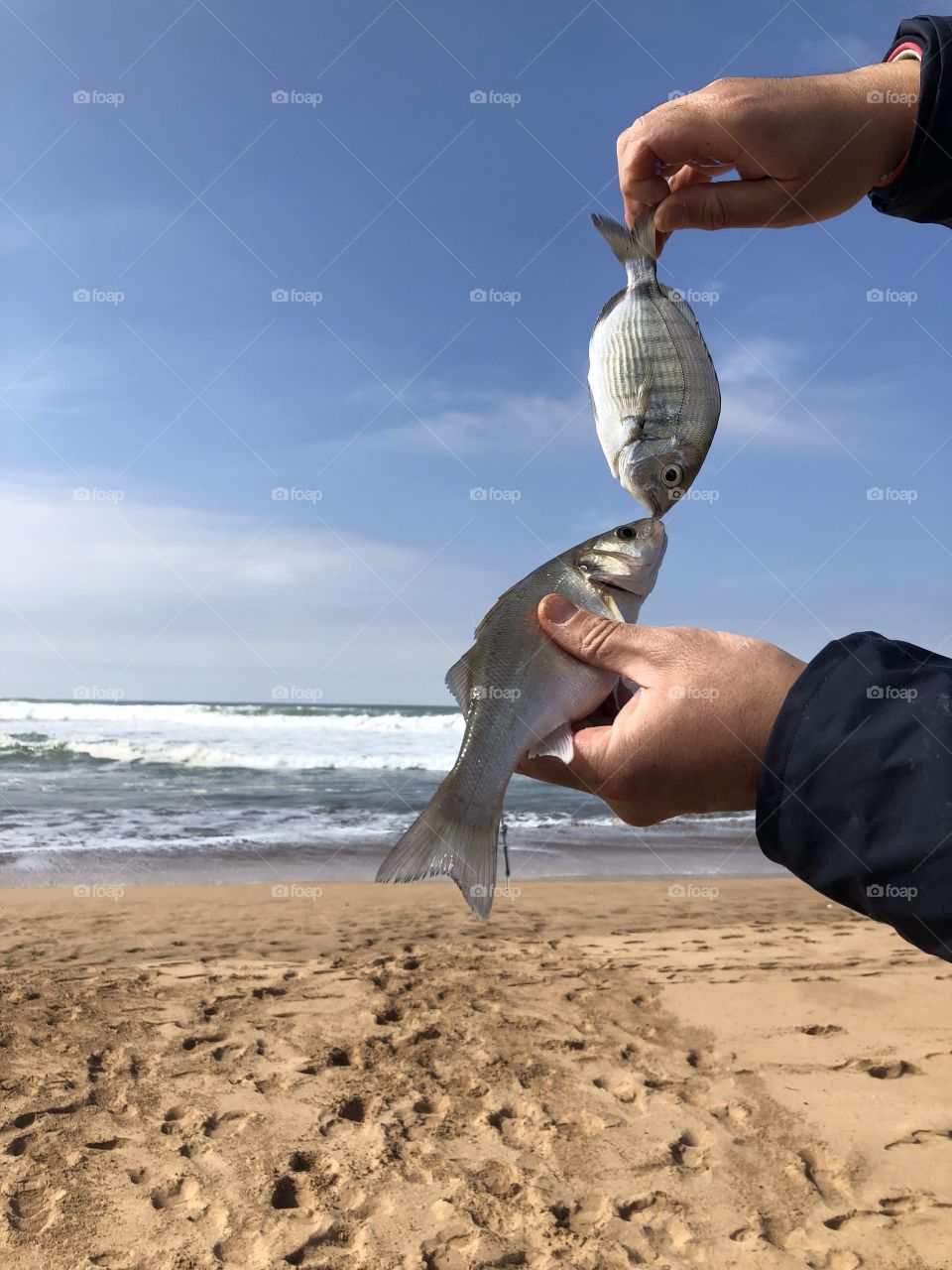 Summer fishing 